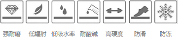 郁金香8091